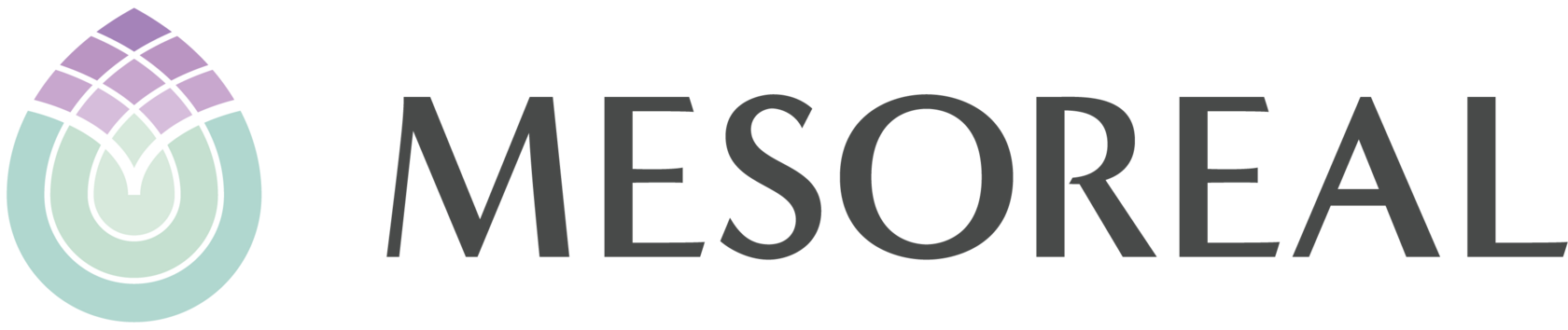 Логотип MESOREAL CLINIC